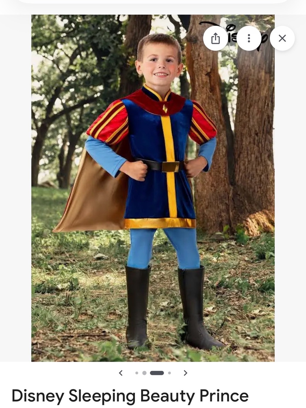 Disney Prince Phillip Costume in Blue, Red & Gold - Picture 6 of 11